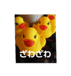 鳥さんからのメッセージ（個別スタンプ：11）