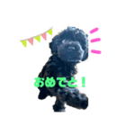 黒トイプーの雷蔵3（個別スタンプ：7）
