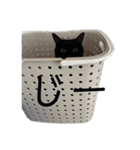 猫（クロ）の日常（個別スタンプ：7）