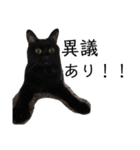 猫（クロ）の日常（個別スタンプ：28）
