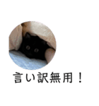 猫（クロ）の日常（個別スタンプ：39）