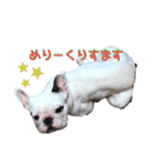 サラミー④（個別スタンプ：1）