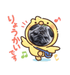 パグのゴン太（個別スタンプ：13）