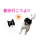 ぼく、ソラくん2（個別スタンプ：1）