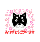 ぼく、ソラくん2（個別スタンプ：3）
