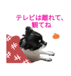 ぼく、ソラくん2（個別スタンプ：17）