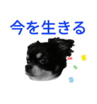 ぼく、ソラくん2（個別スタンプ：24）