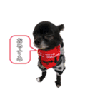 くぅちゃん会話（個別スタンプ：1）