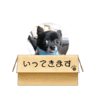 くぅちゃん会話（個別スタンプ：4）