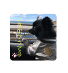 くぅちゃん会話（個別スタンプ：8）