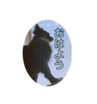 くぅちゃん会話（個別スタンプ：9）