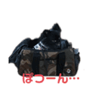くぅちゃん会話（個別スタンプ：20）