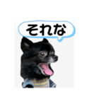 くぅちゃん会話（個別スタンプ：23）