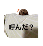 Mugi with her hilarious friends（個別スタンプ：18）