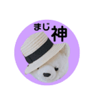 丸めのマルちゃん（個別スタンプ：9）