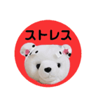 丸めのマルちゃん（個別スタンプ：15）