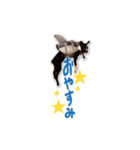 五右衛門と影千代（個別スタンプ：8）