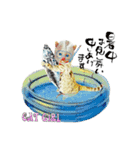 Happy Rock cat special（個別スタンプ：17）