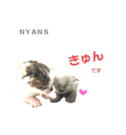 動物愛護団体NYANS④（個別スタンプ：7）