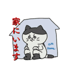 緊急時のとっさのスタンプハチワレ猫（個別スタンプ：17）