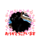 黒猫キキちゃん♥（個別スタンプ：7）
