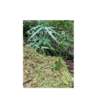 おにぎりぎゅぎゅぎゅ（個別スタンプ：3）