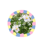 おにぎりぎゅぎゅぎゅ（個別スタンプ：8）