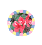 おにぎりぎゅぎゅぎゅ（個別スタンプ：12）
