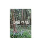 おにぎりぎゅぎゅぎゅ（個別スタンプ：13）