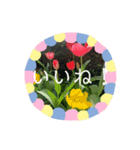 おにぎりぎゅぎゅぎゅ（個別スタンプ：16）