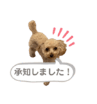 岡田ルイくんのスタンプ2（個別スタンプ：1）
