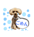 岡田ルイくんのスタンプ2（個別スタンプ：6）