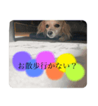誠くんStamp（個別スタンプ：6）