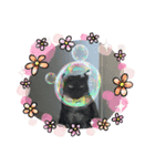 黒猫のチャロくん（個別スタンプ：1）
