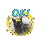 黒猫のチャロくん（個別スタンプ：2）