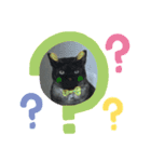 黒猫のチャロくん（個別スタンプ：3）