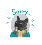 黒猫のチャロくん（個別スタンプ：5）