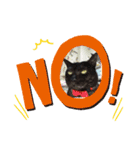 黒猫のチャロくん（個別スタンプ：7）