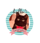 黒猫のチャロくん（個別スタンプ：8）