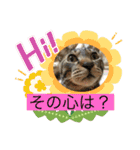 津波から危機一髪！ひき逃げから危機一髪！（個別スタンプ：6）