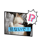 津波から危機一髪！ひき逃げから危機一髪！（個別スタンプ：10）