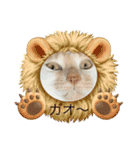 津波から危機一髪！ひき逃げから危機一髪！（個別スタンプ：13）