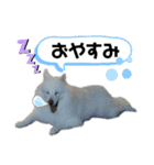 うめちゃんひめちゃん2（個別スタンプ：7）