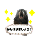 うめちゃんひめちゃん2（個別スタンプ：11）