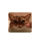 老猫にゃん子(感情編)（個別スタンプ：2）