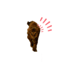 老猫にゃん子(感情編)（個別スタンプ：7）