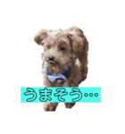 ときどきロイくん 第三弾（個別スタンプ：1）