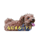 ときどきロイくん 第三弾（個別スタンプ：3）