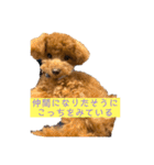 ときどきロイくん 第三弾（個別スタンプ：13）