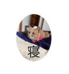 むぎさんといっしょ②（個別スタンプ：1）